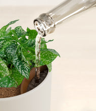 Load image into Gallery viewer, Natural Bamboo stand:all