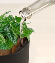 Load image into Gallery viewer, Stone Black stand:all