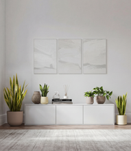 Load image into Gallery viewer, Sandy