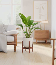 Load image into Gallery viewer, Natural Bamboo stand:walnut