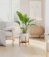 Load image into Gallery viewer, Natural Bamboo stand:bamboo