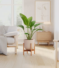 Load image into Gallery viewer, Sandy Pink stand:bamboo