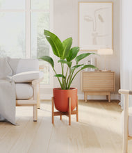 Load image into Gallery viewer, Earth Red stand:bamboo