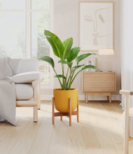 Load image into Gallery viewer, Sunset Orange stand:bamboo