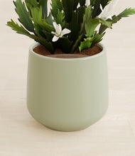 Load image into Gallery viewer, Turquoise stand:all