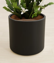 Load image into Gallery viewer, Black stand:all