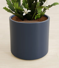 Load image into Gallery viewer, Deep Navy stand:all