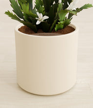 Load image into Gallery viewer, Cream stand:all