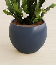 Load image into Gallery viewer, Deep Navy stand:all