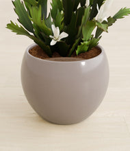 Load image into Gallery viewer, Winter Clouds stand:all