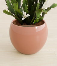 Load image into Gallery viewer, Calm Rose stand:all