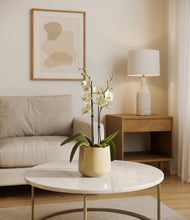 Load image into Gallery viewer, Almond Green