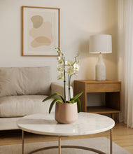 Load image into Gallery viewer, Gentle Pink