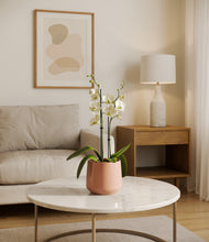 Load image into Gallery viewer, Calm Rose