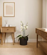 Load image into Gallery viewer, Black