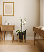 Load image into Gallery viewer, Black stand:bamboo