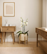 Load image into Gallery viewer, Cream stand:bamboo