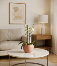 Load image into Gallery viewer, Calm Rose