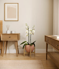 Load image into Gallery viewer, Calm Rose stand:bamboo