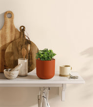 Load image into Gallery viewer, Earth Red