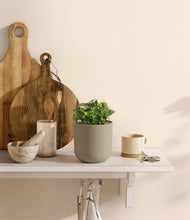 Load image into Gallery viewer, Sage Green