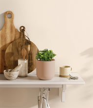 Load image into Gallery viewer, Sandy Pink