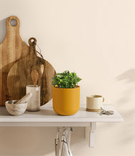 Load image into Gallery viewer, Sunset Orange