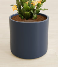 Load image into Gallery viewer, -Deep Navy stand:all