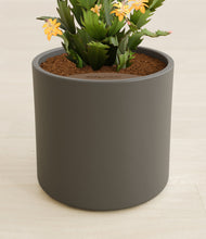 Load image into Gallery viewer, -Dark Olive stand:all