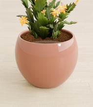 Load image into Gallery viewer, -Calm Rose stand:all