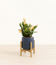 Load image into Gallery viewer, -Deep Navy stand:bamboo