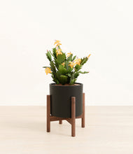 Load image into Gallery viewer, -Black stand:walnut