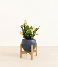 Load image into Gallery viewer, -Deep Navy stand:bamboo
