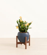 Load image into Gallery viewer, -Deep Navy stand:walnut