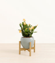 Load image into Gallery viewer, -Deep Ocean stand:bamboo