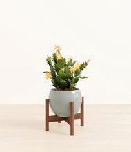 Load image into Gallery viewer, -Deep Ocean stand:walnut