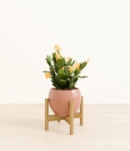 Load image into Gallery viewer, -Calm Rose stand:bamboo