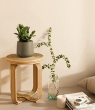 Load image into Gallery viewer, Olive