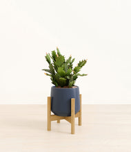 Load image into Gallery viewer, Deep Navy stand:bamboo
