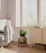 Load image into Gallery viewer, Olive stand:walnut