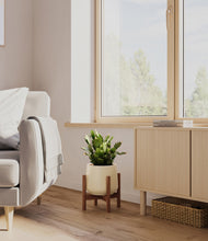 Load image into Gallery viewer, Almond Green stand:walnut