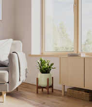 Load image into Gallery viewer, Turquoise stand:walnut