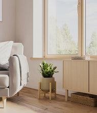 Load image into Gallery viewer, Olive stand:bamboo