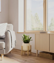 Load image into Gallery viewer, Almond Green stand:bamboo