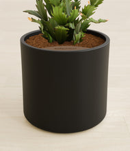 Load image into Gallery viewer, Black stand:all