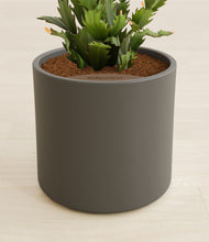 Load image into Gallery viewer, Dark Olive stand:all