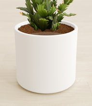 Load image into Gallery viewer, White stand:all