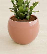 Load image into Gallery viewer, Calm Rose stand:all