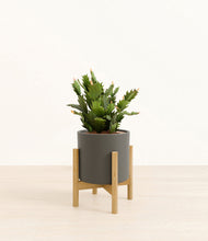 Load image into Gallery viewer, Dark Olive stand:bamboo