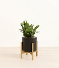 Load image into Gallery viewer, Black stand:bamboo